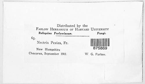 Hydropisphaera peziza image